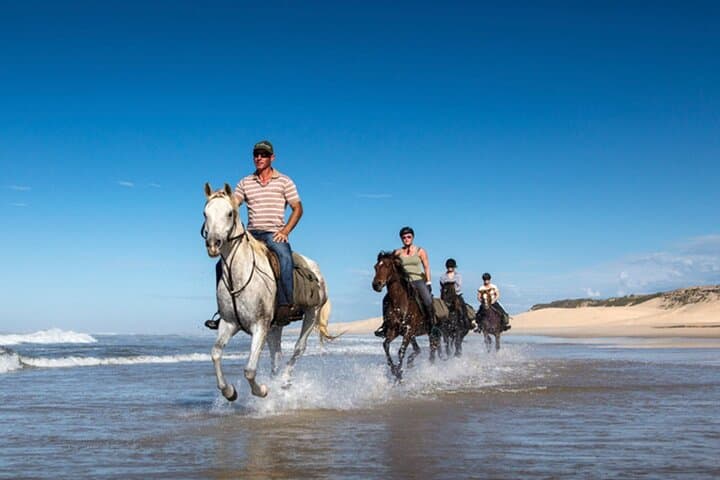 Agadir/Taghazout: Beach Horseback Riding Experience