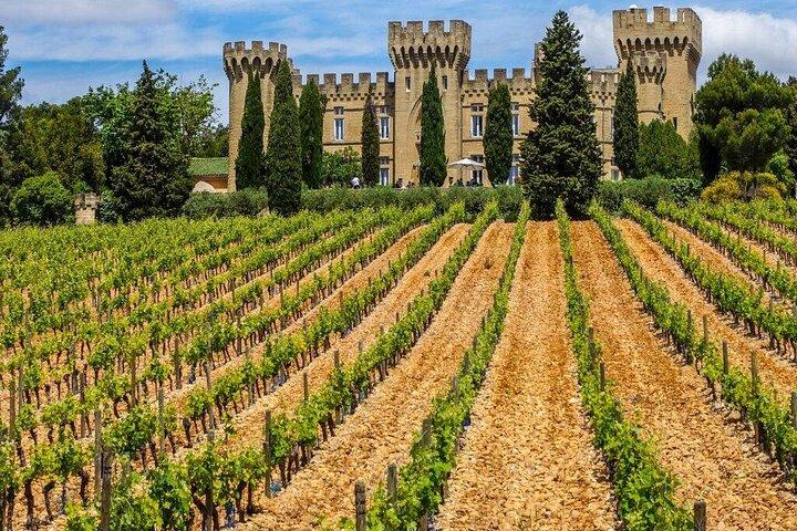 Châteauneuf du Pape Wine Private Tasting Tour From Marseille