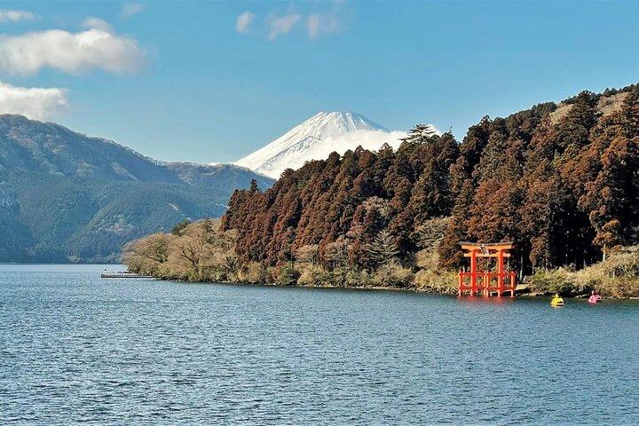 Private Mt Fuji and Hakone Day Tour from Tokyo