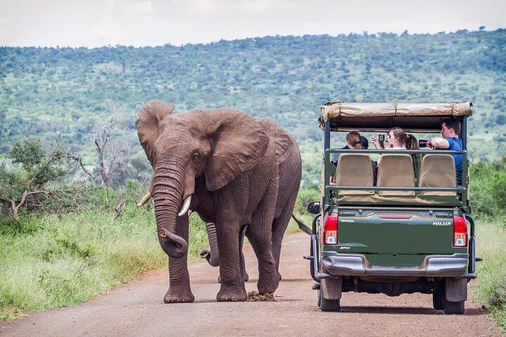 Full Day Exquisite Pilanesberg Safari from Johannesburg
