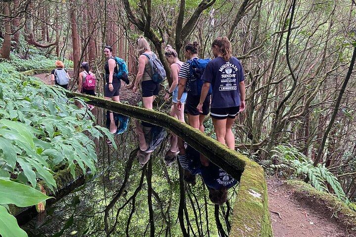 Full Day Hiking Trail in Lagoa do Fogo Sao Miguel