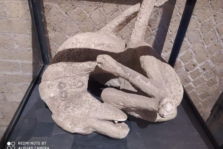 Guided Tours of Pompeii Excavations Historical and Cultural Itineraries