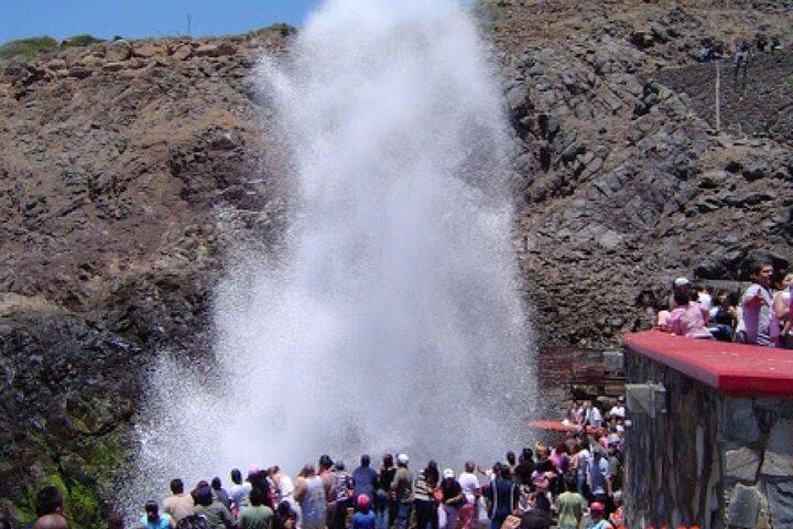 Las Canadas Ecopark and Bufadora private tour