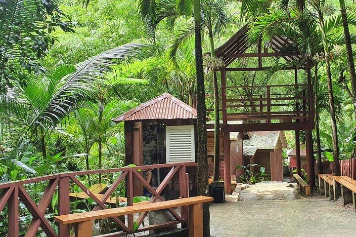 Private Tour of Sulphur Spring and Toraile Waterfall in Soufriere