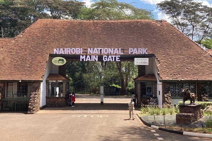 Nairobi National Park half-Day Tour; Free wifi Connection