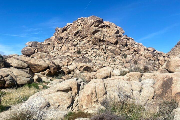 Joshua Tree Natural Wonders Walk: Plants, Animals and Rocks