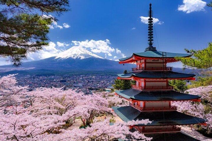Mt. Fuji one day Private tour from tokyo with English guider