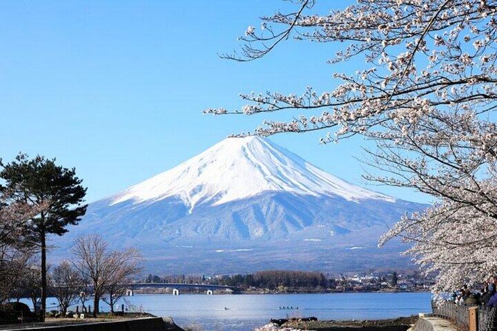 Mt. Fuji one day Private tour from tokyo with English guider