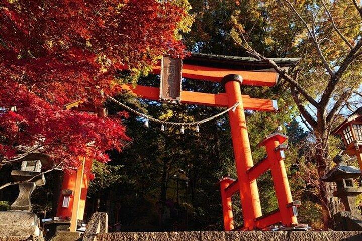 Mt. Fuji one day Private tour from tokyo with English guider