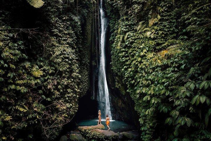 Bali : Northern Bali Private Day Trip with Transfer
