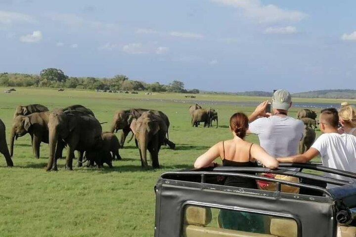 Sigiriya Rock and Jeep Safari Private Tour from Trincomalee