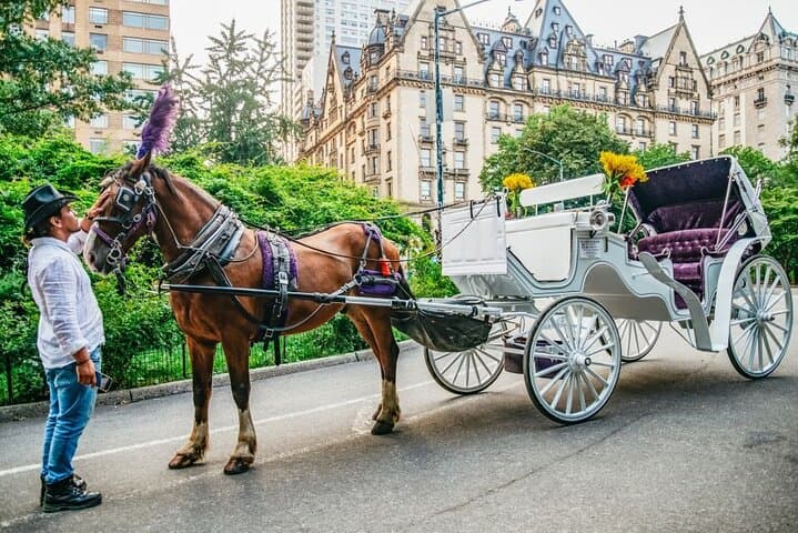Official Private New York City Central Park Horse Carriage Ride Since 1965™