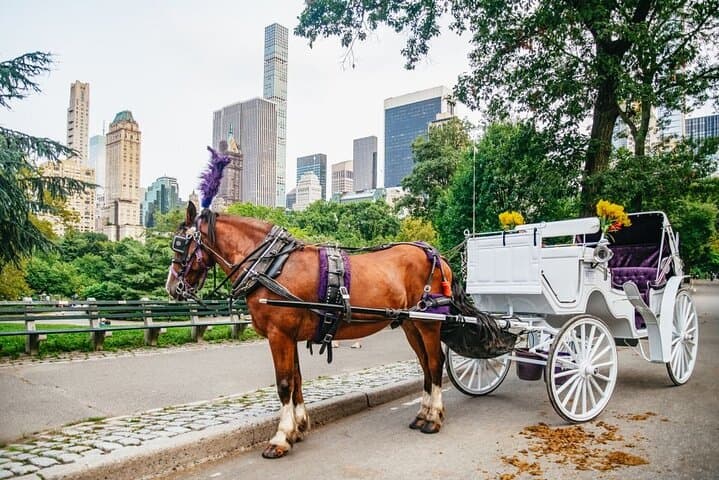 Official Private New York City Central Park Horse Carriage Ride Since 1965™