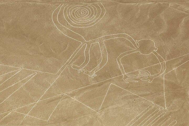 Nazca Lines Flight - Departure from Ica & Huacachina