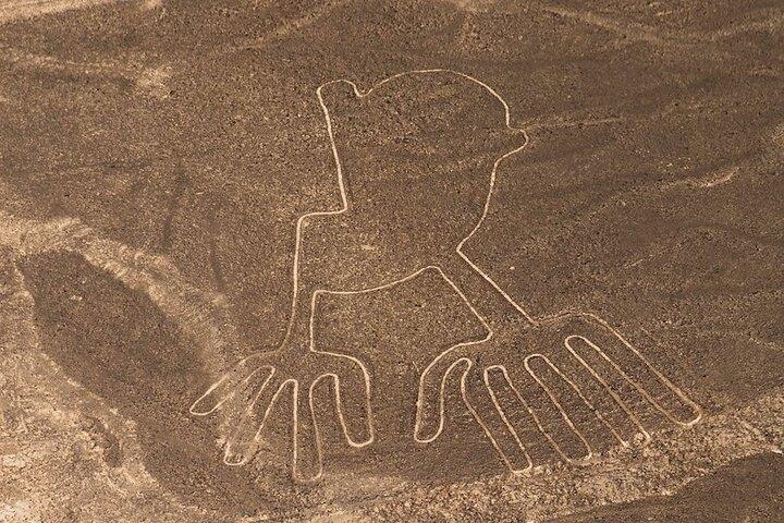 Nazca Lines Flight - Departure from Ica & Huacachina