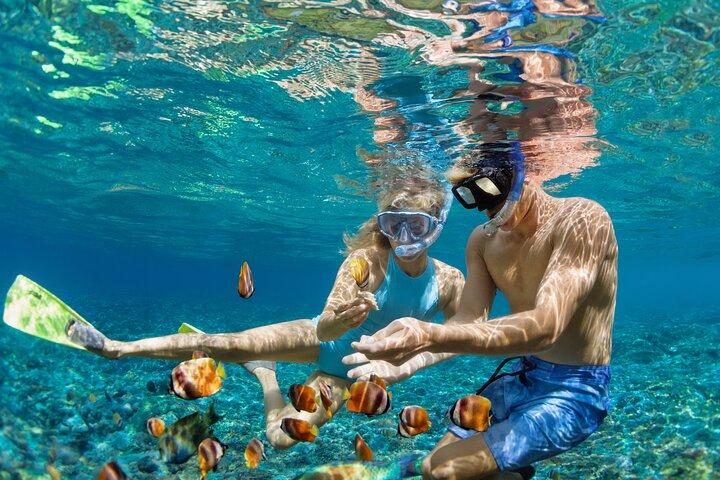 Bohol: Turtle Sanctuary Snorkeling and Boat Tour with Lunch