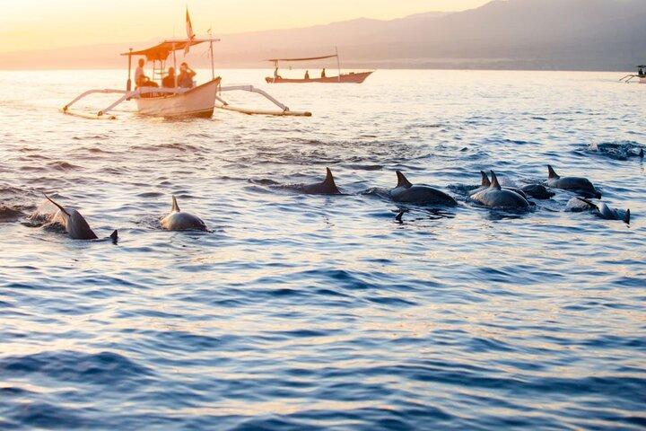 Bohol: Turtle Sanctuary Snorkeling and Boat Tour with Lunch