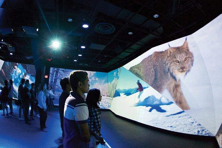 Flyover Vancouver: The Immersive Theater Experience