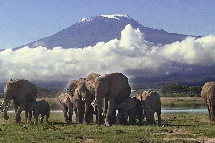 11 Days Best Kenya Budget Camping Safari on 4x4 Jeep