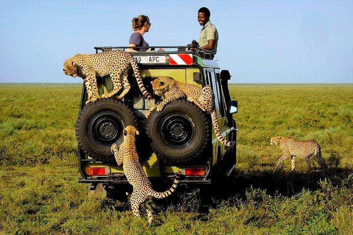 3Day Amboseli National Park Budget Safari on 4x4 Landcruiser Jeep