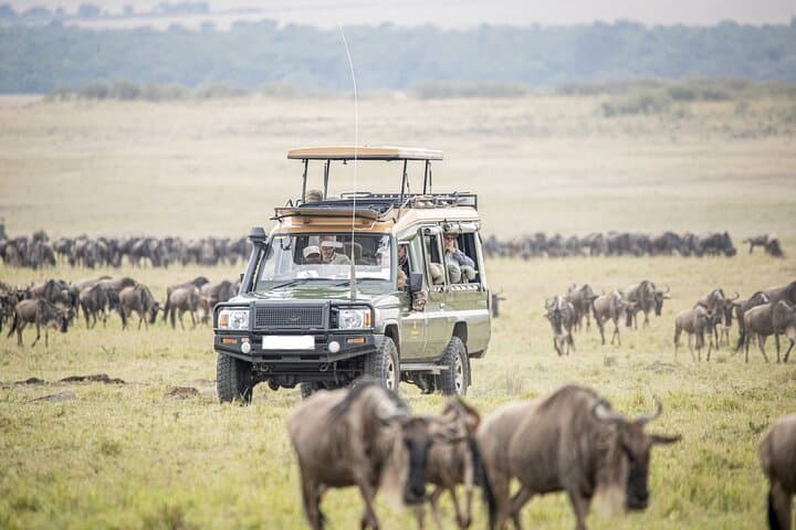 9 Days Discover Kenya Wildlife Safari