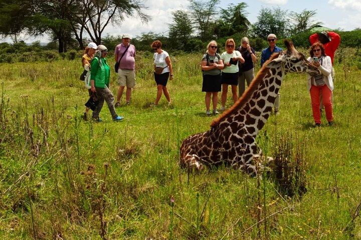 3 Days 8th Wonder Of The World with Maasai Mara Great Tour