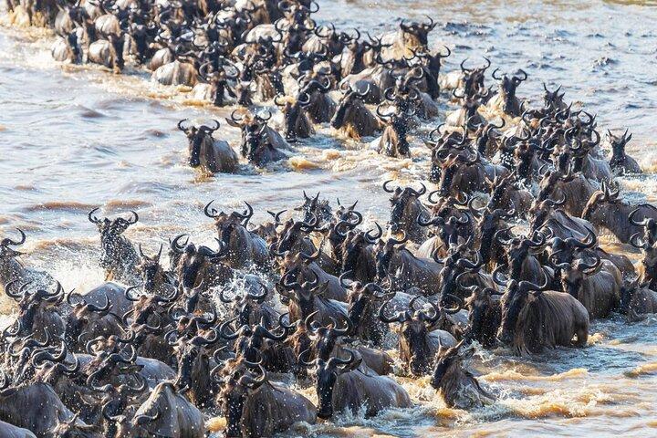 3 Days 8th Wonder Of The World with Maasai Mara Great Tour