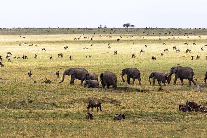 3 Days 8th Wonder Of The World with Maasai Mara Great Tour