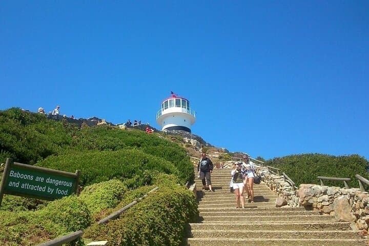 Scheduled Guided Tour to Table Mountain and Cape of Good Hope
