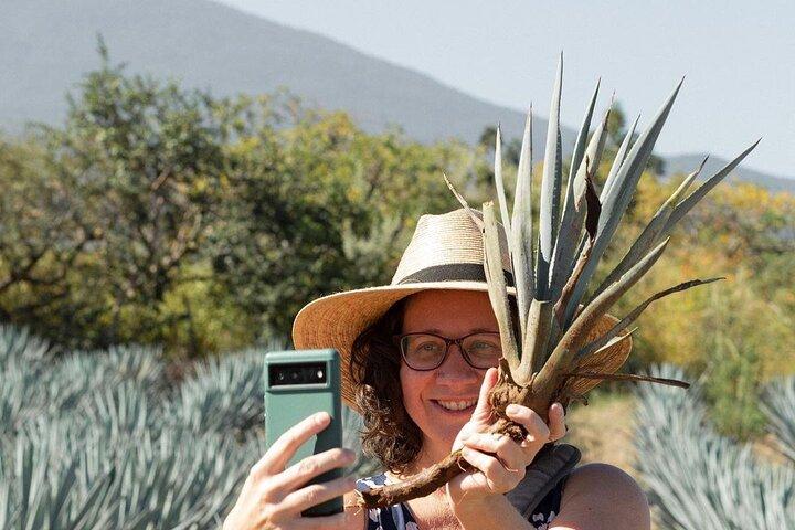 Private Adventure to El Tequileño Distillery and visit to Tequila