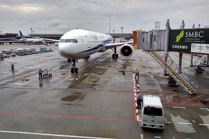 Narita Airport (NRT) To/From Tokyo Disney or Yokohama