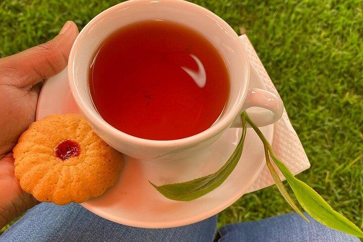 Kiambethu Tea Farm Tour and Lunch From Nairobi