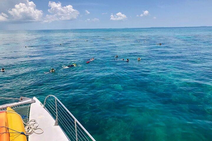 Key West Morning Snorkel Sail with Mimosas and Gourmet Breakfast