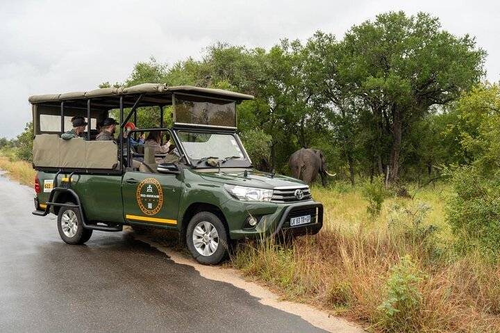 Kruger Safari, Maputo