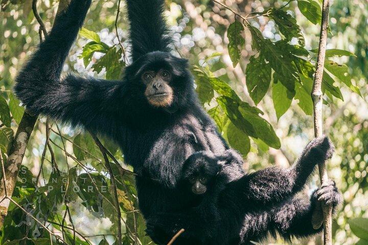 2 Days and 1 Night Ethical Jungle Trek