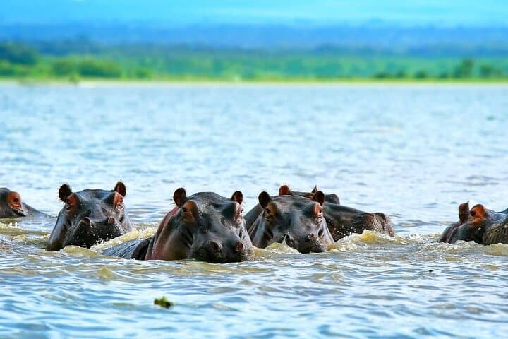 Day tour to hell's gate National Park and Lake Naivasha Boat Ride