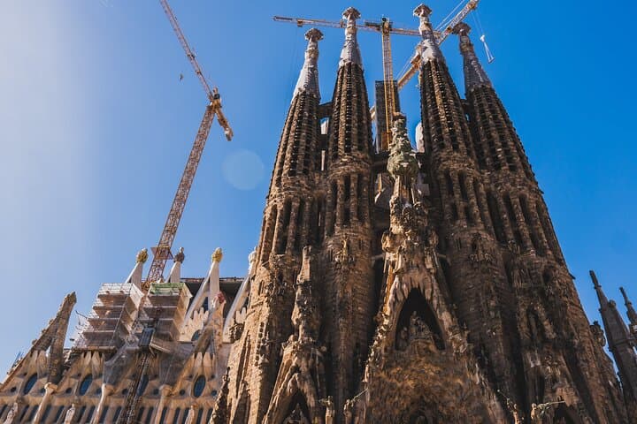 Guided Tour Sagrada Familia and Park Guell