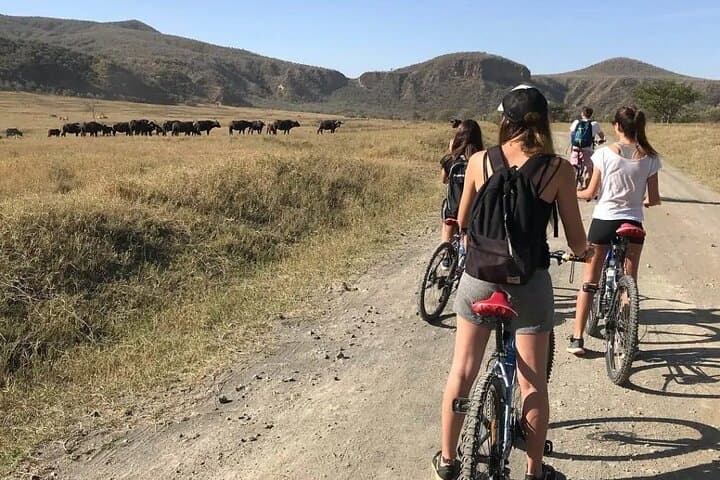 Day tour to hell's gate National Park and Lake Naivasha Boat Ride
