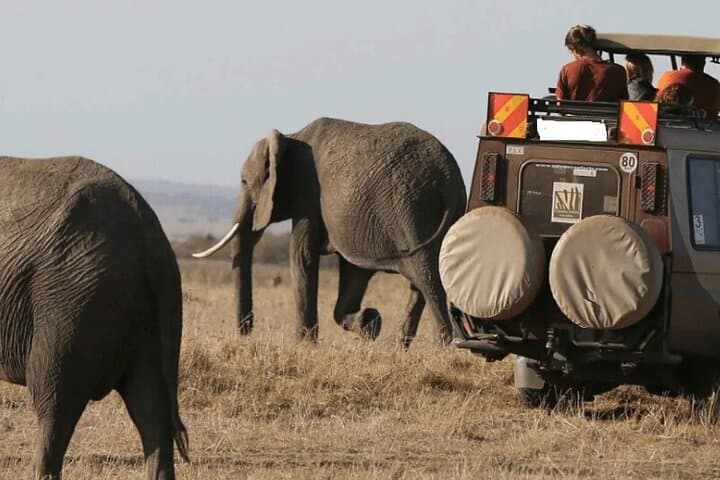9 Days Discover Kenya Wildlife Safari
