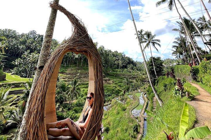 Ubud Half Day Private Tour Rice Terraces Temple Waterfall