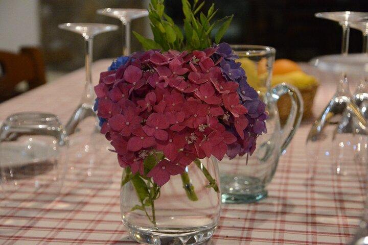 Hands-On Italian Cooking Class with Local Sorrento Chef