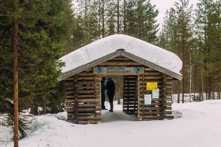 Korouoma Canyon: Frozen Waterfalls Hike & BBQ Experience