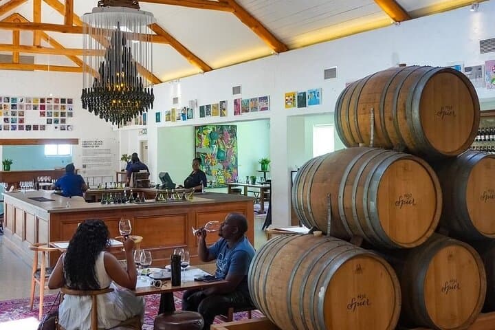 Cape Winelands private tour