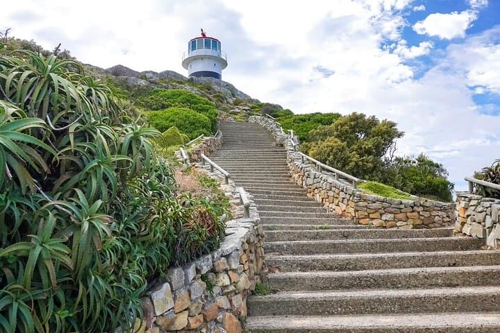 Cape Peninsula Private tour