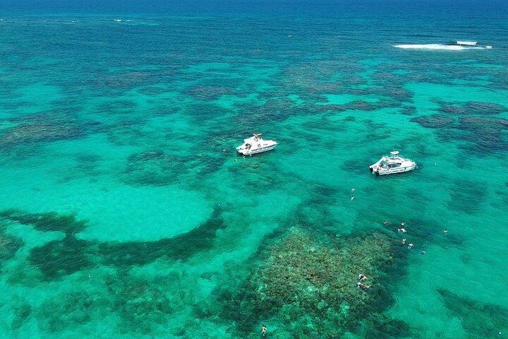 Punta Cana: Catamaran Tour, Reef Snorkeling and Unlimited Drinks!