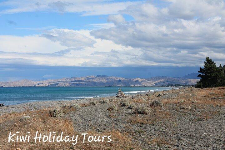Picton & Blenheim Scenic Tour