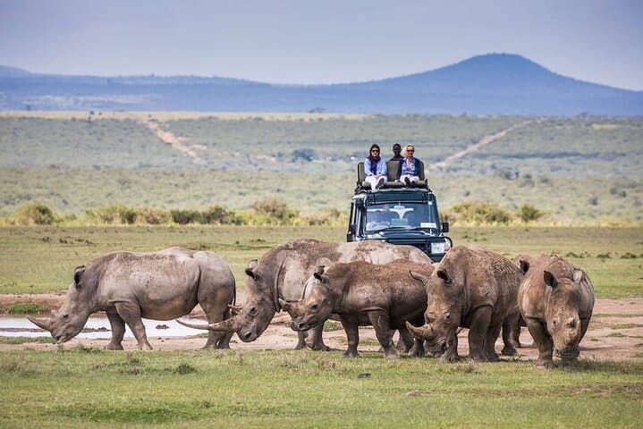 5 Day Aberdares Ol Pejeta and Samburu Safari on 4x4 Jeep