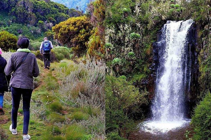 4-Day Ol Pejeta, Aberdare,& Solio Ranch Safari on 4x4 Jeep