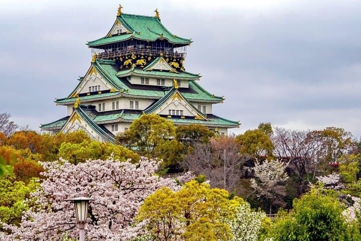 Osaka Best Street Food Tour With A Guide