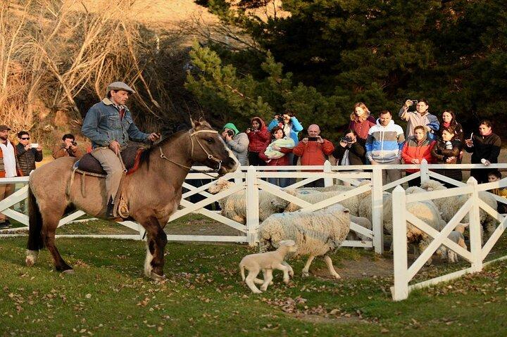 Estancia 25 de Mayo Experience with Dinner and Horseback Riding